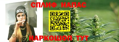 тгк Аша