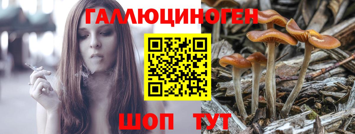 Псилоцибиновые грибы мухоморы Батайск